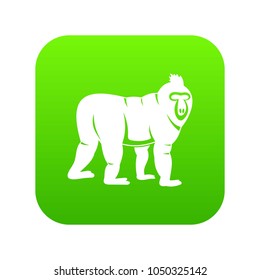 Mandrill monkey icon digital green for any design isolated on white vector illustration