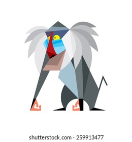 Mandrill  monkey on white background