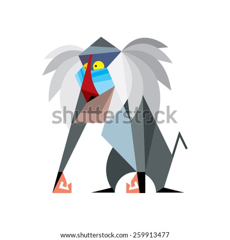 Mandrill  monkey on white background