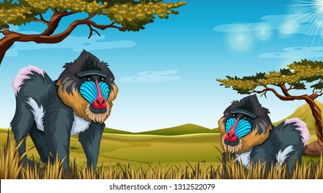 Mandrill in nature scene illustration