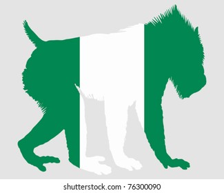 Mandrill Nigeria