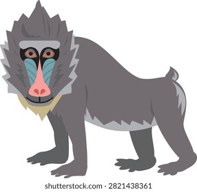 Mandrill on a white background. Vector illustration in flat style.
