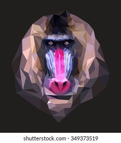 mandrill. polygonal graphics. vector illustration