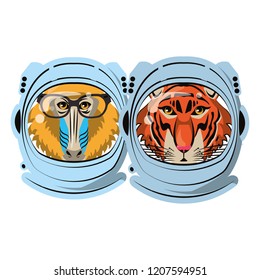 Mandrill and tiger face cool sketch