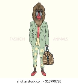 Mandrillus Sphinx Monkey Dressed Up In Cool Urban Style, Hipster Animal,  Furry Art Illustration