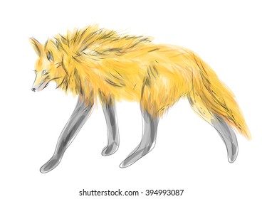 maned wolf 