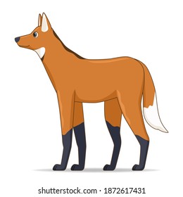 Maned wolf animal standing on a white background. Cartoon style vector illustration