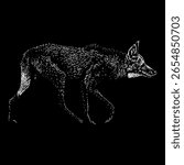 Maned Wolf hand drawing vector isolated on black background.