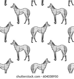 Maned Wolf. Seamless pattern with animals South America. Hand drawing of wildlife. Vector illustration art. Black and white. Old engraving. Vintage. Design for fabrics, paper, textiles, fashion.