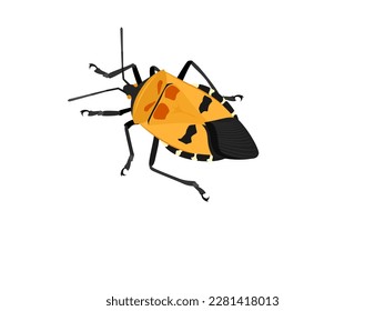 Manfaced bug on white background.