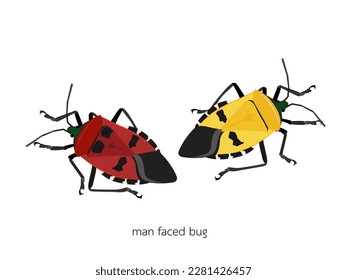 Manfaced bug on white background.