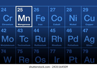 Manganese element on the periodic table. Transition metal and chemical element with symbol Mn and atomic number 25. Used for steel production. Essential human dietary element and micronutrient. Vector