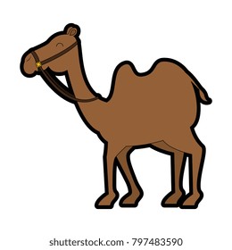 manger camel character icon