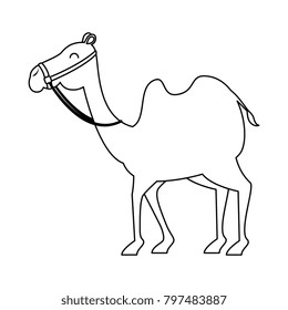 manger camel character icon