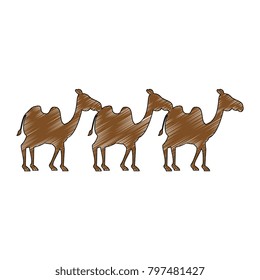 manger camels characters icon