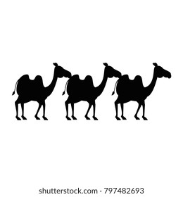 manger camels characters icon