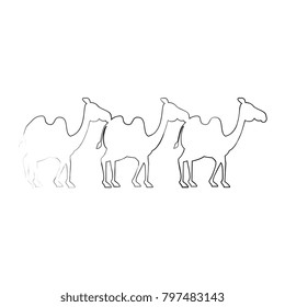 manger camels characters icon