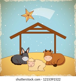 manger epiphany christmas