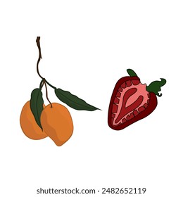 manggo and strawberry fruit icon vector illustration