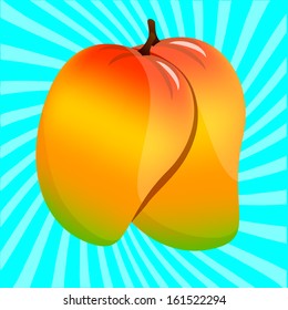 Mangifera Indica or peach of the tropics, and Mangos.