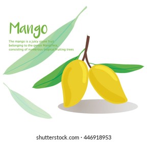 mango