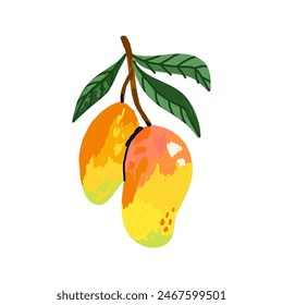 Mango. Abstract exotic tropical fresh fruit, whole with green leaves. Healthy dessert organic juice. Botanical element. Vector cartoon minimalistic isolated hand drawn illustration