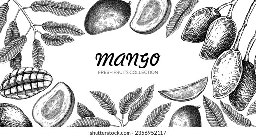 Fondo de Mango. Ilustración vectorial de frutos exóticos dibujada a mano. Frutos de mango, ramas de árboles, hojas de bocetos. Marco vintage, pancarta, embalaje de jugo. Elemento de diseño de verano