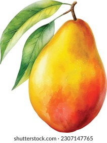 Mango. Dibujo a mano de acuarela botánica. Fruta exótica. Mango acuarela