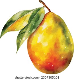 Mango. Dibujo a mano de acuarela botánica. Fruta exótica. Mango acuarela