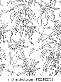 Mango branches seamless pattern. Black and white hand-drawn graphics.