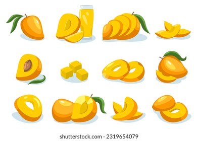 Mango collection. Cartoon whole ripe fruit tropical sweet pieces, organic mango diet healthy nutrition, vegetarian healthy food concept. Vector isolated set of mango ripe tropical illustration