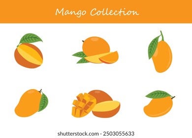 colección de mango. Mango en diferentes poses. Ilustración vectorial.