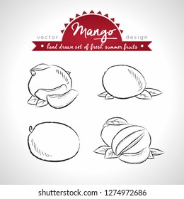 mango Collection of fresh fruits with leaf. Vector illustration. Isolated	
