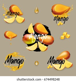 Mango collection with fruits, splashes and lettering. Vector illustration.