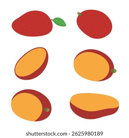 Mango collection vector illustration. Mangoes are available whole, sliced, and with leaves. Perfect for tropical food packaging, summer designs.