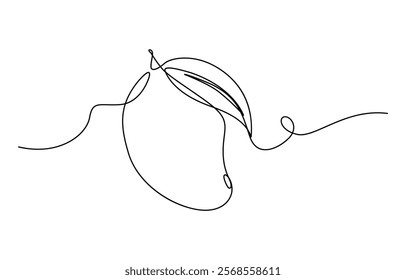 Mango continuous one line drawing. Food fruit concept with organic outline, Continuous single line sketch drawing of whole and sliced mango fruit. Editable stroke.