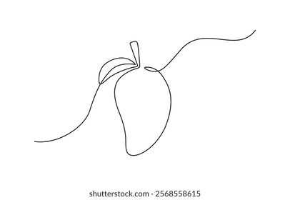 Mango continuous one line drawing. Food fruit concept with organic outline, Continuous single line sketch drawing of whole and sliced mango fruit. Editable stroke.