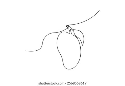 Mango continuous one line drawing. Food fruit concept with organic outline, Continuous single line sketch drawing of whole and sliced mango fruit. Editable stroke.