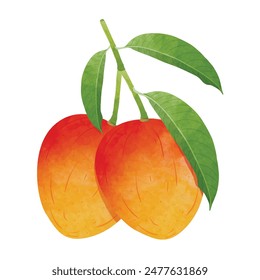 Mango Design-Elemente. Aquarell Stil Vektorillustration.