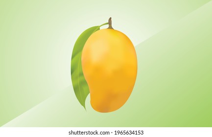 Mango Design l Vector design l Yellow Mango
