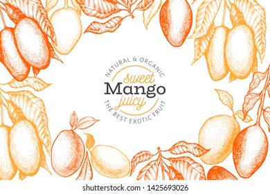 Mango design template. Hand drawn vector tropic fruit illustration. Engraved style fruit. Retro exotic food banner.