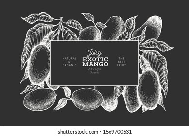 Mango design template. Hand drawn vector tropic fruit illustration on chalk board. Engraved style fruit. Retro exotic food banner.