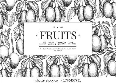 Mango design template. Hand drawn vector tropic fruit illustration. Engraved style fruit. Vintage exotic food banner.
