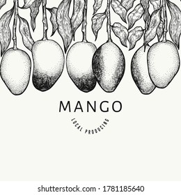 Plantilla de diseño de mango. Ilustración de frutas tropicales con vector dibujado a mano. Fruta de estilo grabado. Pancarta de comida exótica vintage.