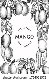 Mango design template. Hand drawn vector tropic fruit illustration. Engraved style fruit. Vintage exotic food banner.