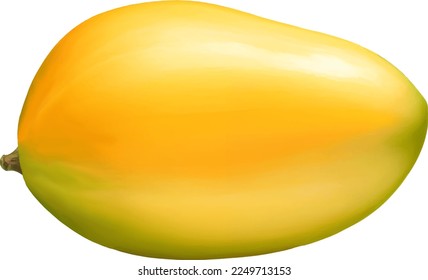 Mango Detailed Beautiful Hand Drawn Vector Illustration