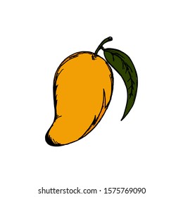 Mango Doodle Icon Vector Simple Design