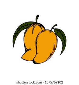 Mango Doodle Icon Vector Simple Design