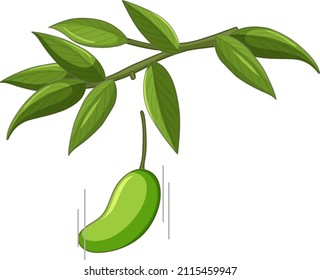 Mango falling off the tree illustration