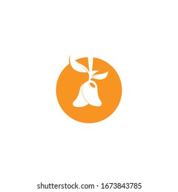 Mango flat image logo vector template illustration design